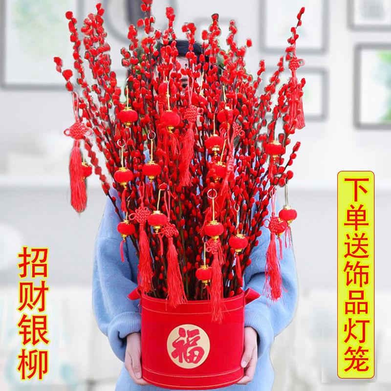 红色银柳彩色真花银柳带花喜庆花卉观花水养干花客厅装饰品花束