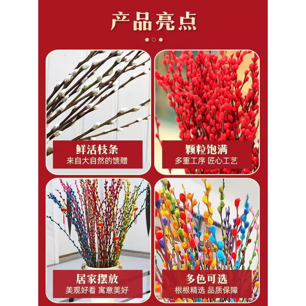 红色招财银柳干花真花鲜枝耐寒年宵花水培花卉室内客厅摆放装饰花