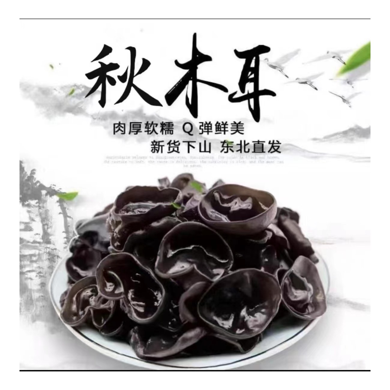 短云B 秋木耳26.99元/500克
