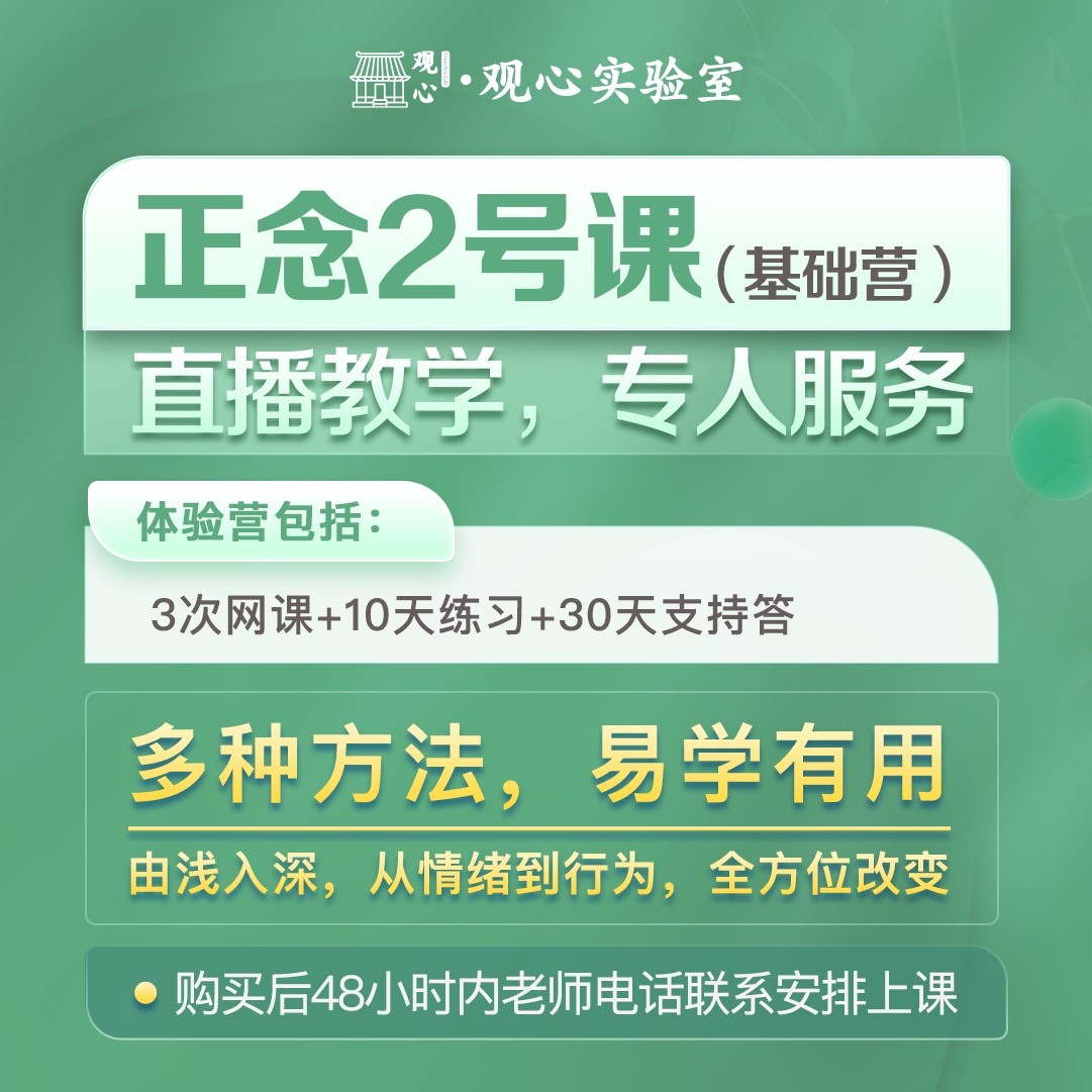 正念2号课-正念认知基础营(网络学习+训练，不是书）21