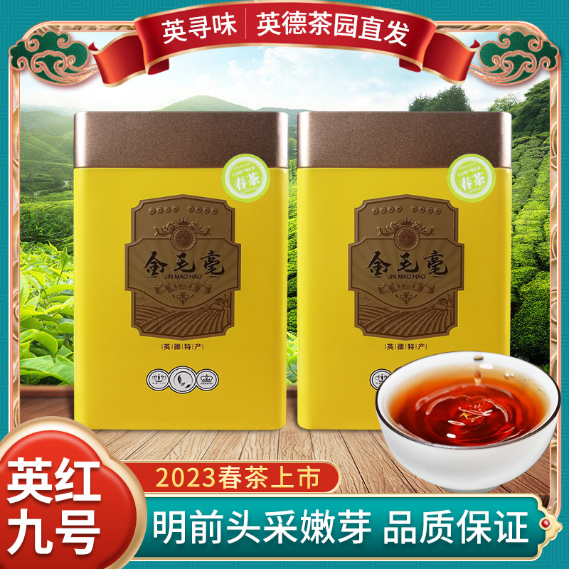 叶大师3英德红茶-2023年-浓香型春茶英红九号-金毛毫花果香毫香