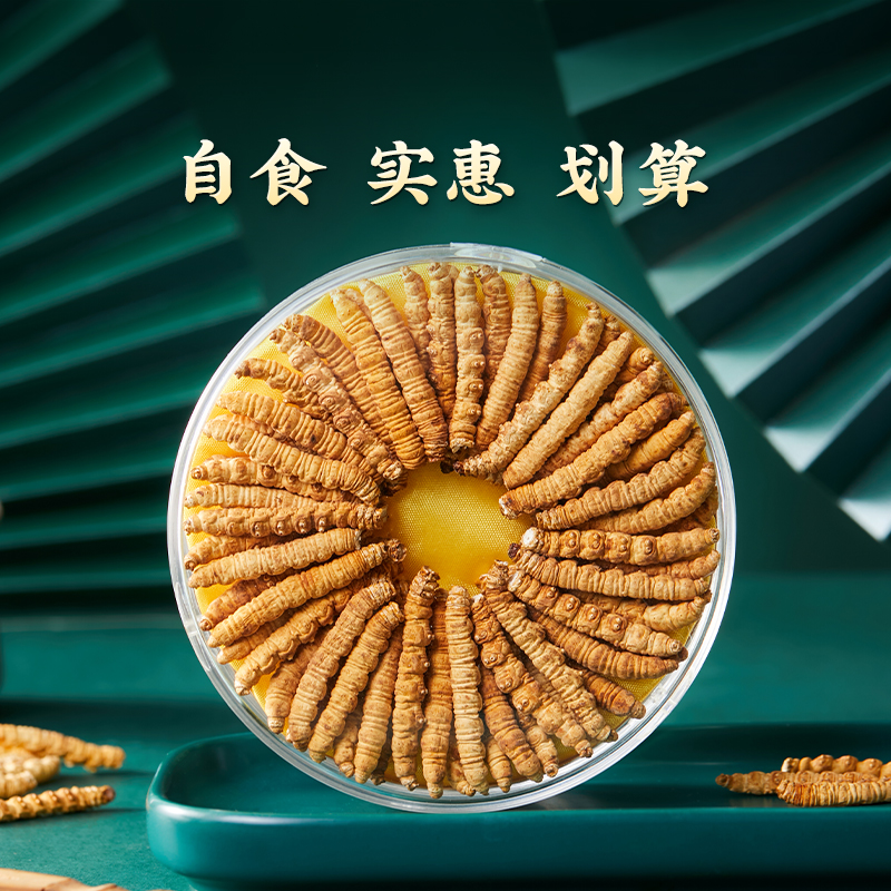 【那曲央吉推荐】2023头茬25克大断草冬虫夏草中秋送礼礼盒自家食用