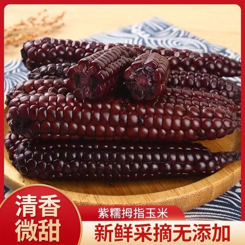 【产地直发】小扬甄选西双版纳特产青花素紫糯拇指黑玉米免煮即食