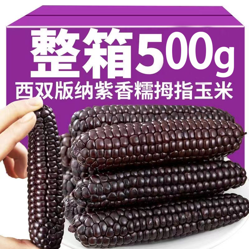 西双版纳新鲜紫金拇指玉米真空包装甄选好货香甜软糯优选精品玉米