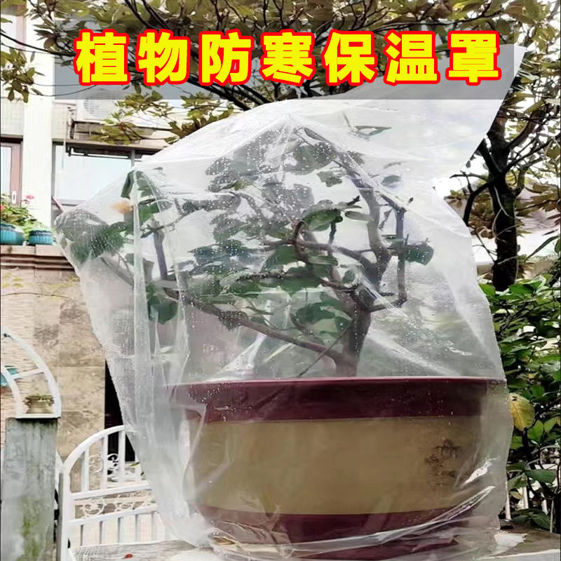 亏本抢！植物保暖防寒罩透气过冬保护透明塑料罩树苗带防风防冻罩