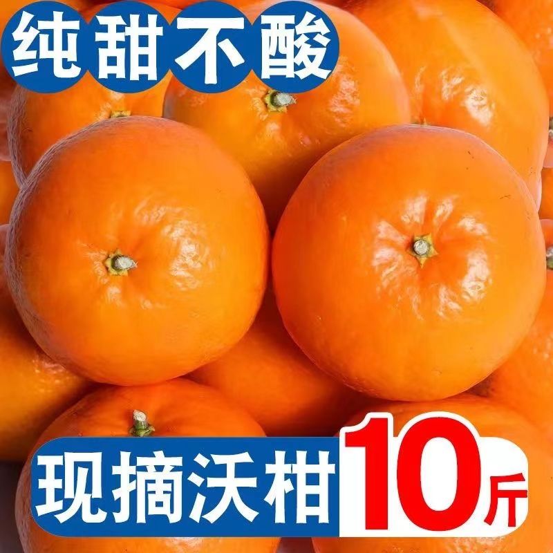 【精选沃柑】广西武鸣沃柑贵妃柑新鲜橘子水果应季水果薄皮桔子