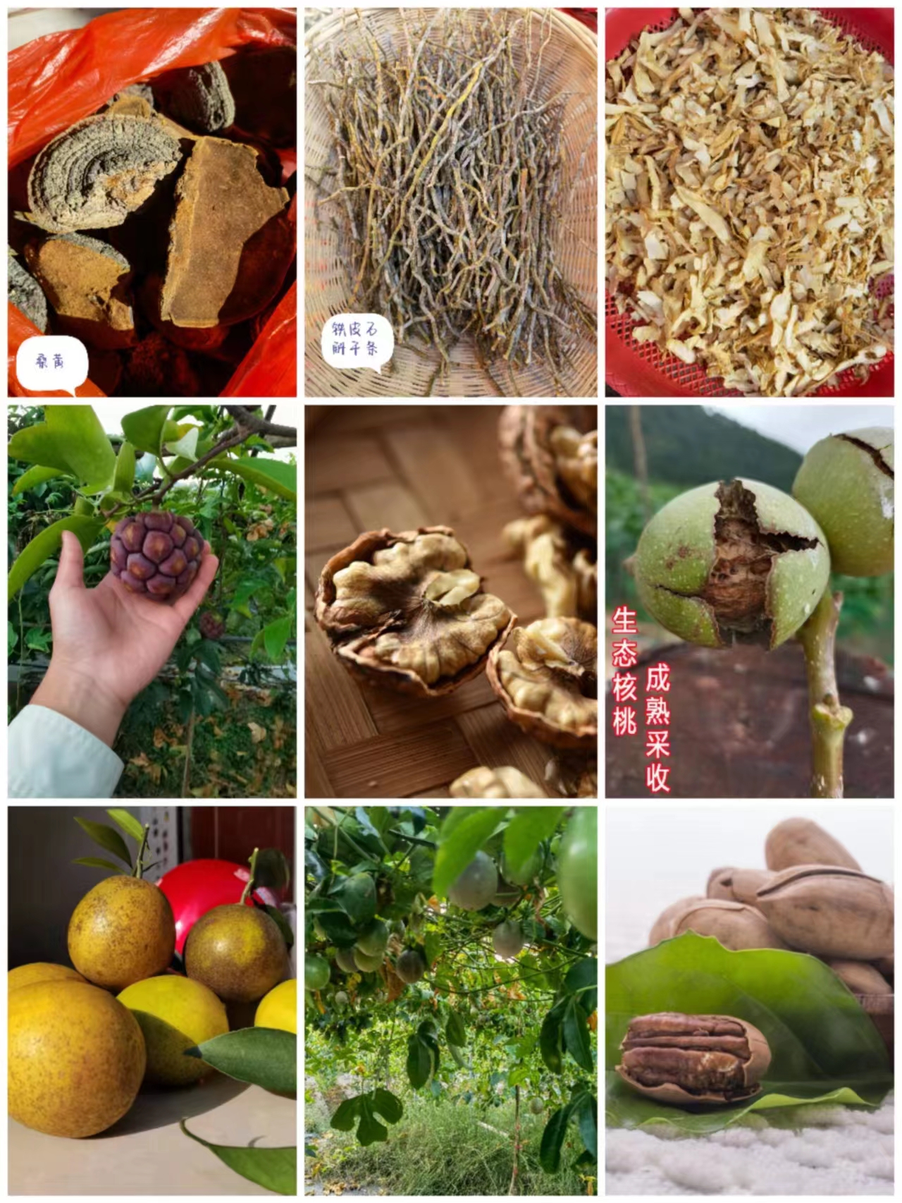 【大成推荐】---通用9---土特产---菜叶子---250克/500克