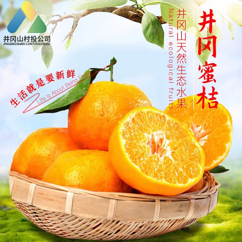 井冈蜜橘本地果园现摘现发货4斤