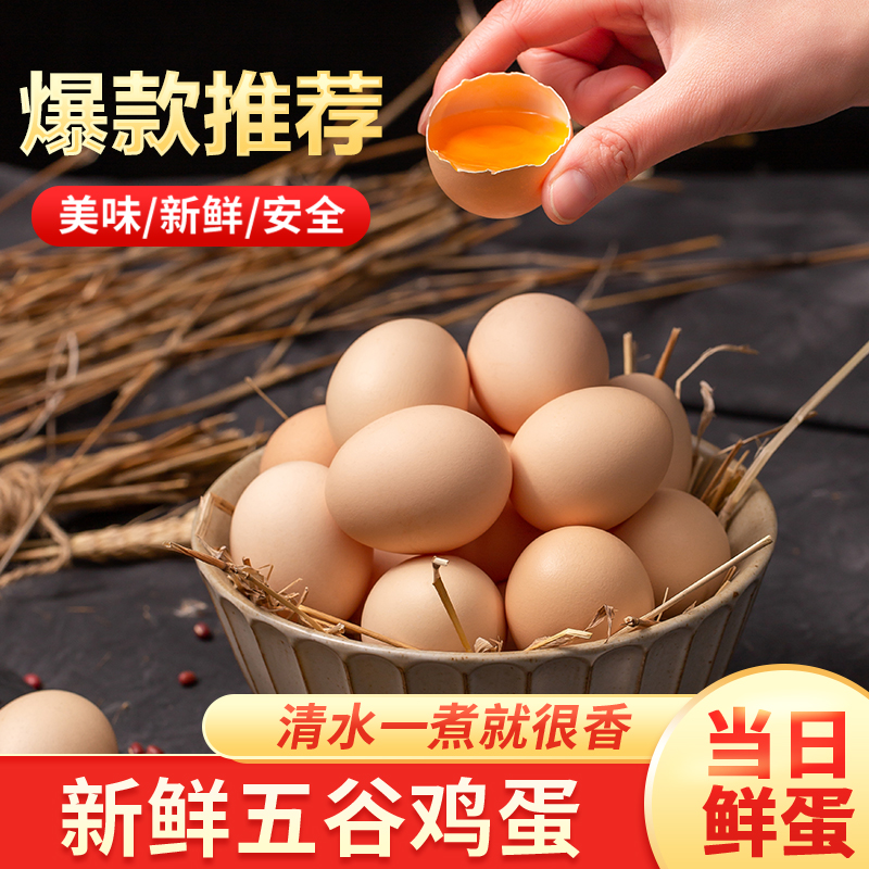 晨诚新鲜农家散养土鸡蛋营养谷物喂养农家土鸡蛋笨鸡蛋散养蛋蛋黄