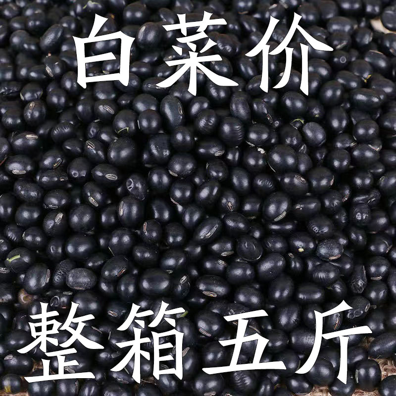 【新店开业】新黑豆东北黄心黑豆非转基因打豆浆专用醋泡批发
