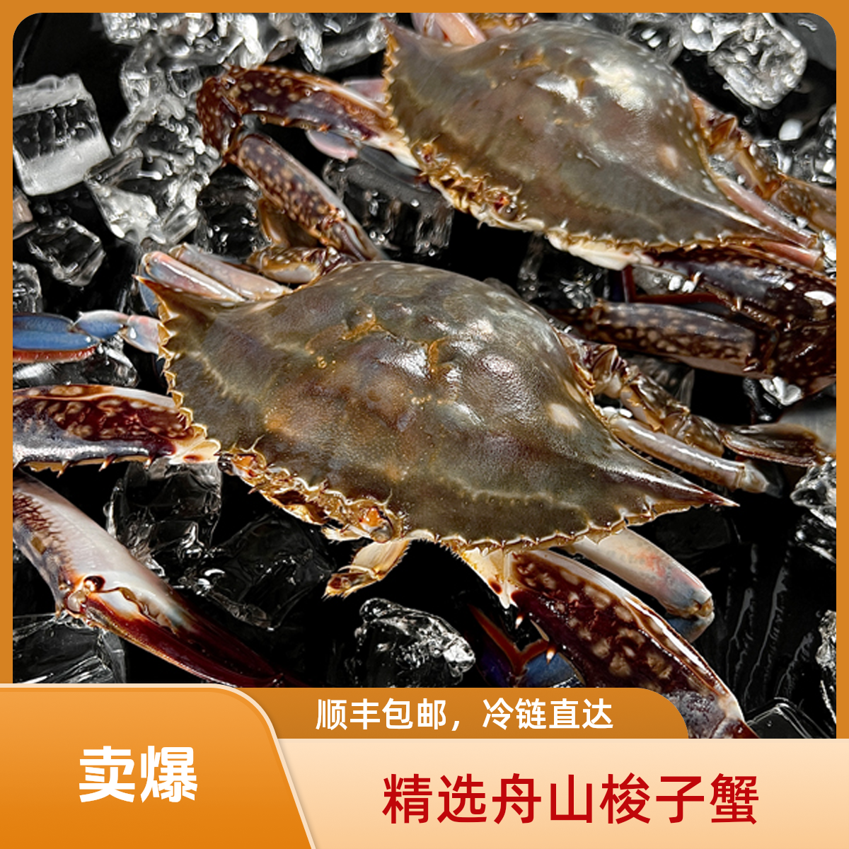 【冻蟹】鲜冻舟山梭子蟹，净重三斤，三两到手8-10只，顺丰直达