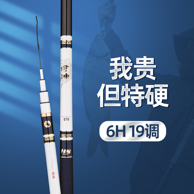 新品白沧渔6H19调台钓竿逆丝鱼竿高碳竿鲢鳙大物竿