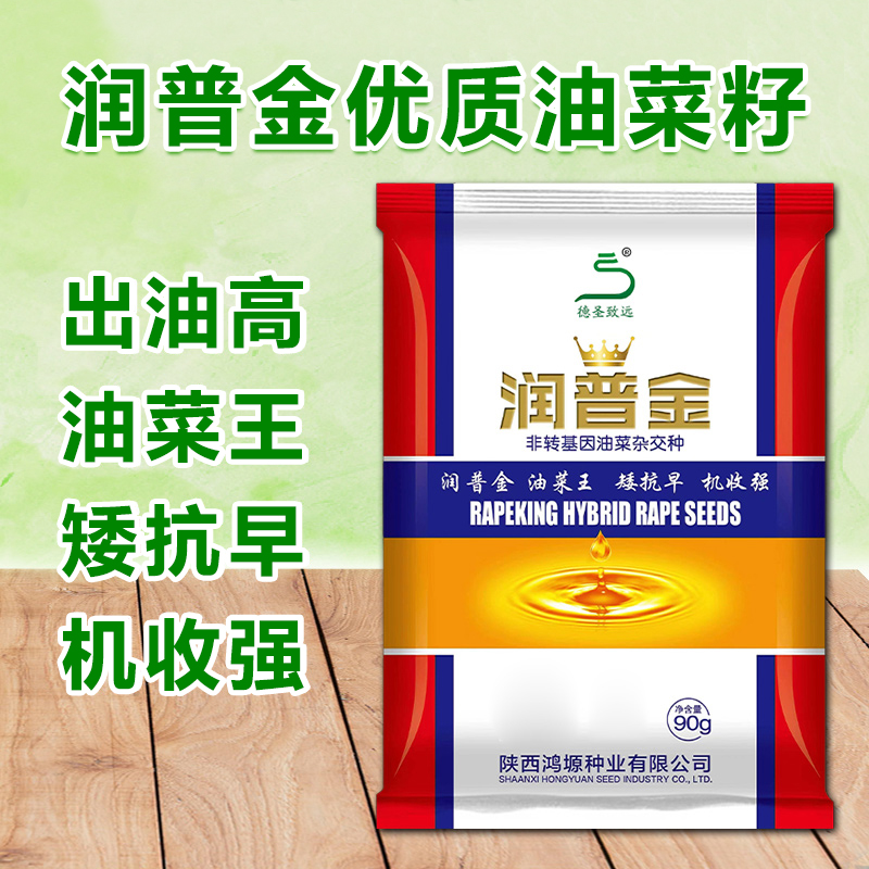 润普金非转基因杂交种油菜王菜籽 耐旱 早熟 抗倒 出油高 产量高