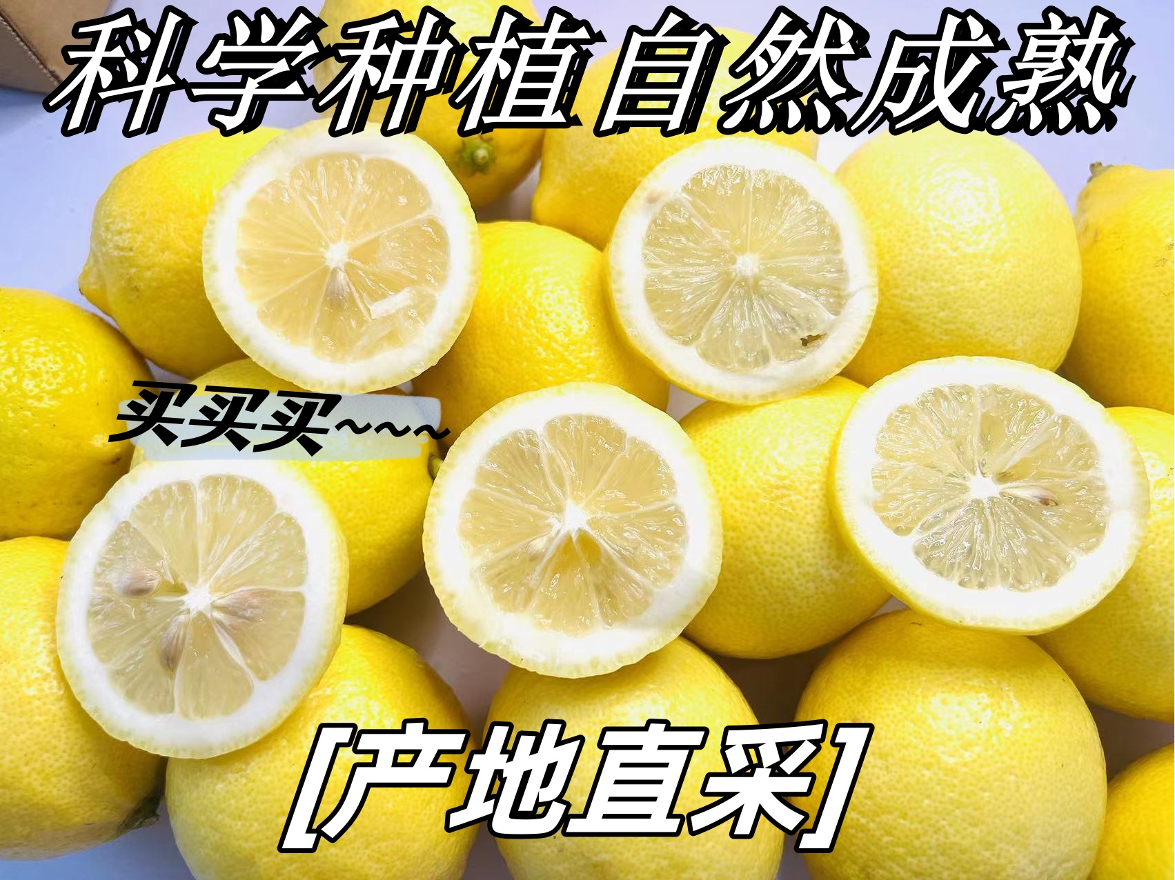 9斤到手17.5福利款正宗四川安岳黄柠檬现摘水果汁多酸爽皮薄清香