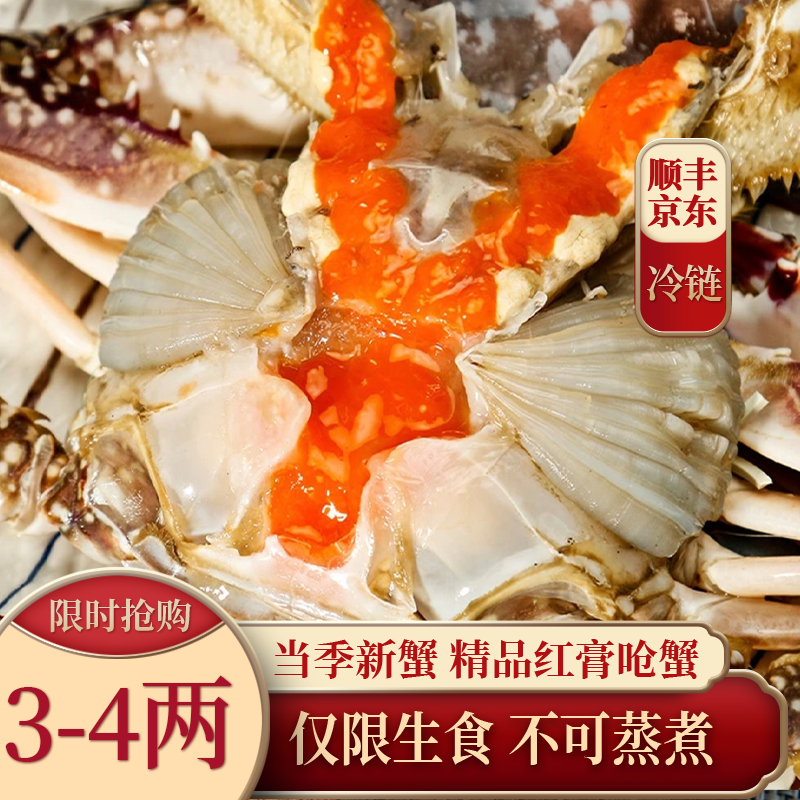 X 3-4两舟山飞机膏精品红膏呛蟹（仅限生食不可蒸煮）炝梭子蟹腌制