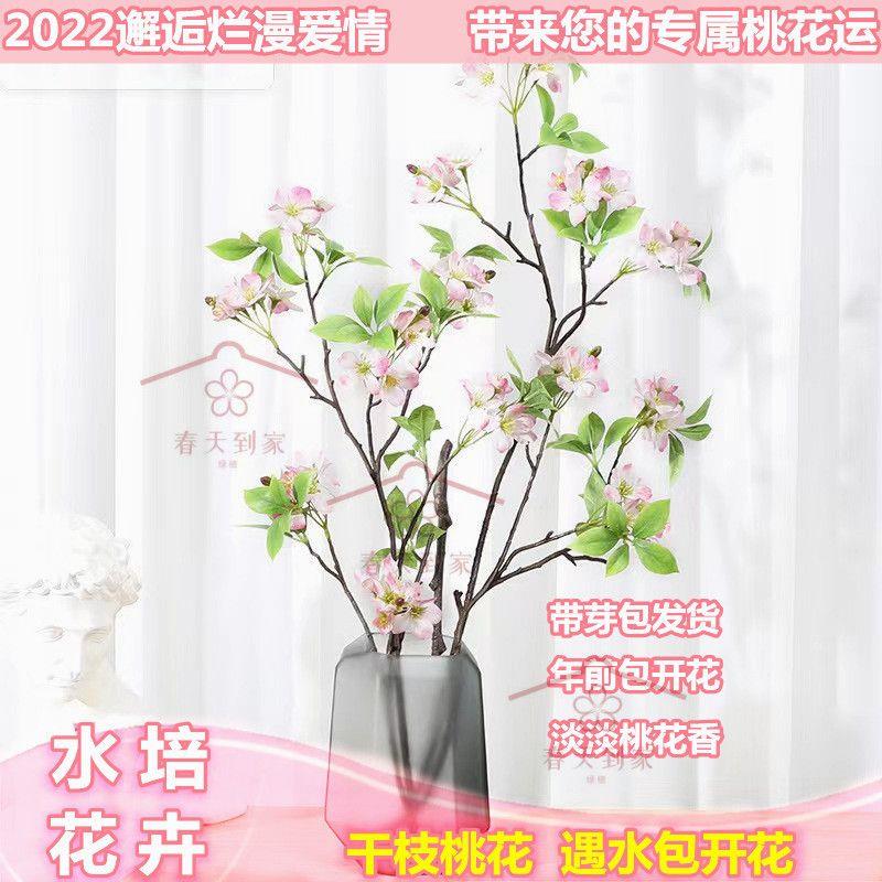 【带苞发货】网红桃花枝遇水开花水培真桃花新鲜桃树枝室内网红绿植