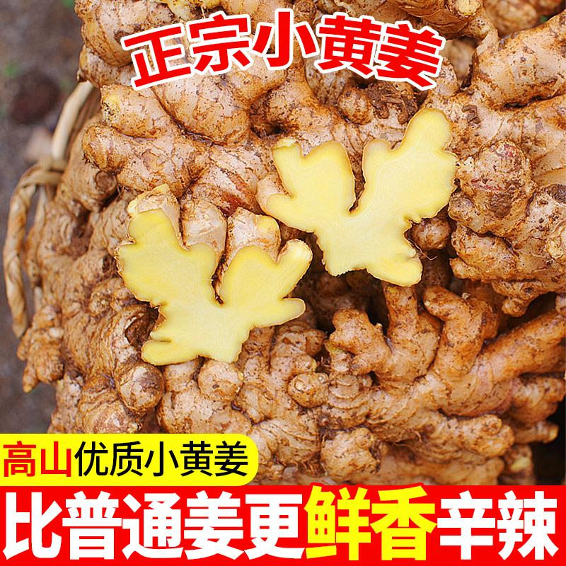 【Z拍5送4】云南高山小黄姜新鲜现挖姜味浓厚海拔2500米种植3/5/9斤