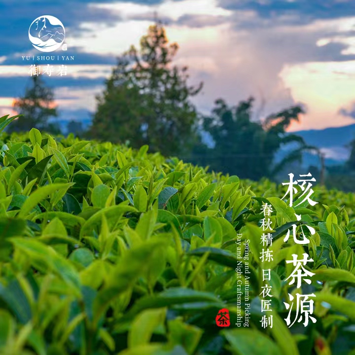 【原广福专场】原广福2006寿眉散茶