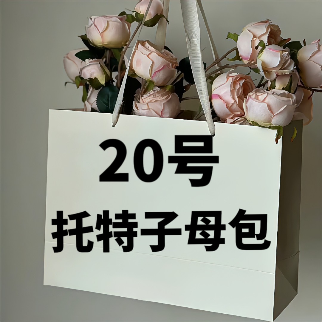 A【20号】 2023托特子母包 时尚休闲托特子母包 77019-1