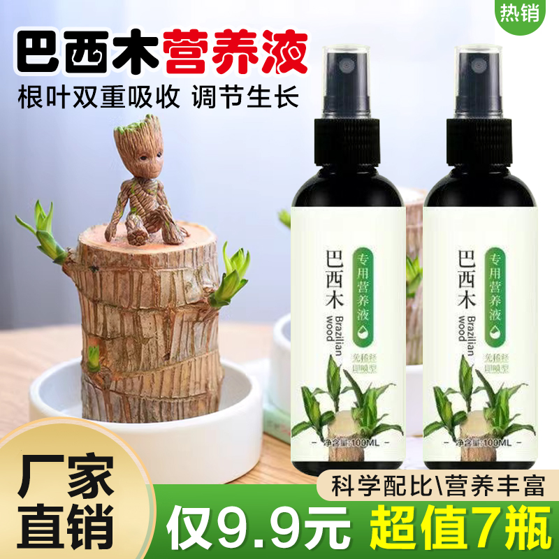 【抢！7瓶】巴西木专用营养液 绿叶促芽促根