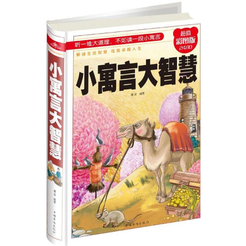 【励志书籍】小寓言 大智慧 心灵鸡汤书籍 书排行榜 青