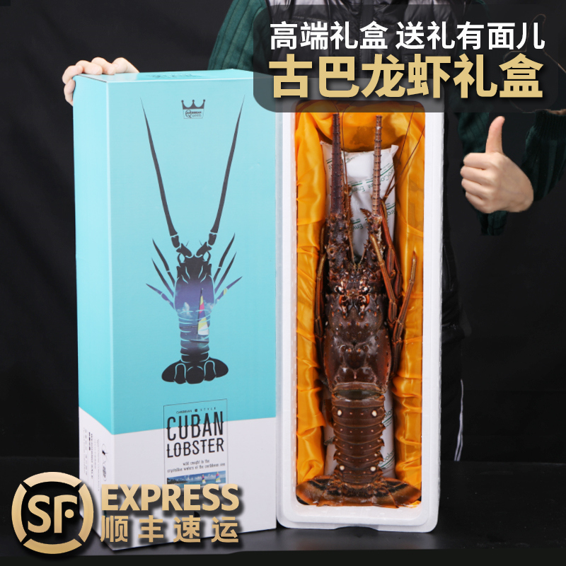 古巴龙虾 3-3.4斤 活冻大龙虾年货海鲜礼盒 非澳洲大龙虾波士顿