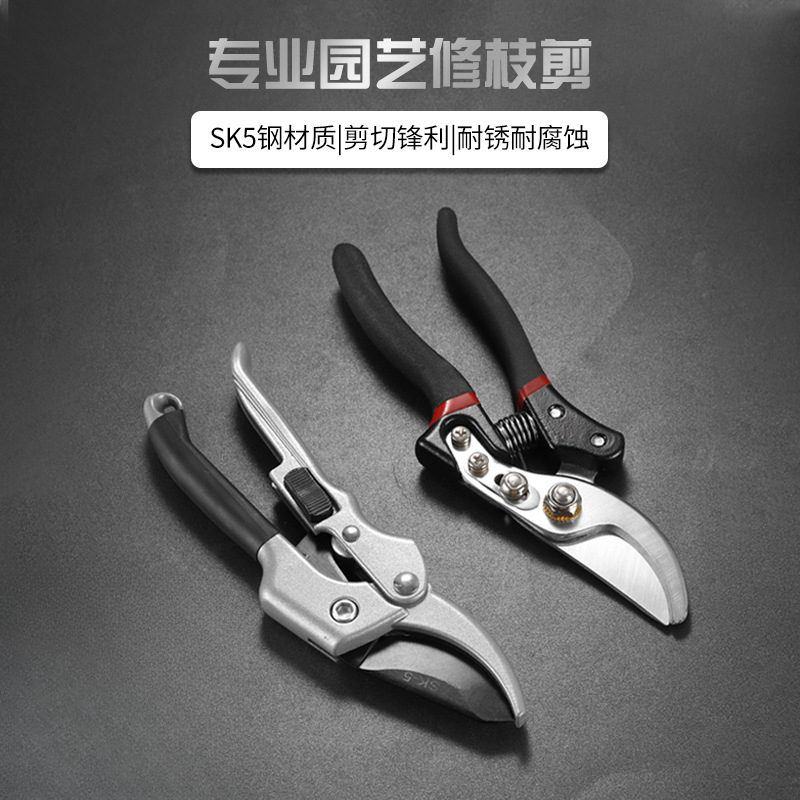 家用粗枝剪园林工具修枝剪刀园艺果树修枝剪刀花艺花枝剪刀批发