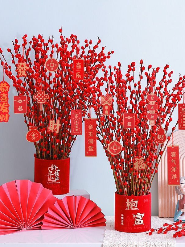 银柳干花鲜枝真花红色花卉13.99元30枝花束装饰适用客厅摆设摆件