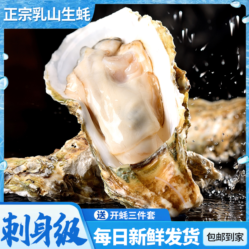 乳山生蚝刺身级 包鲜活产地直发