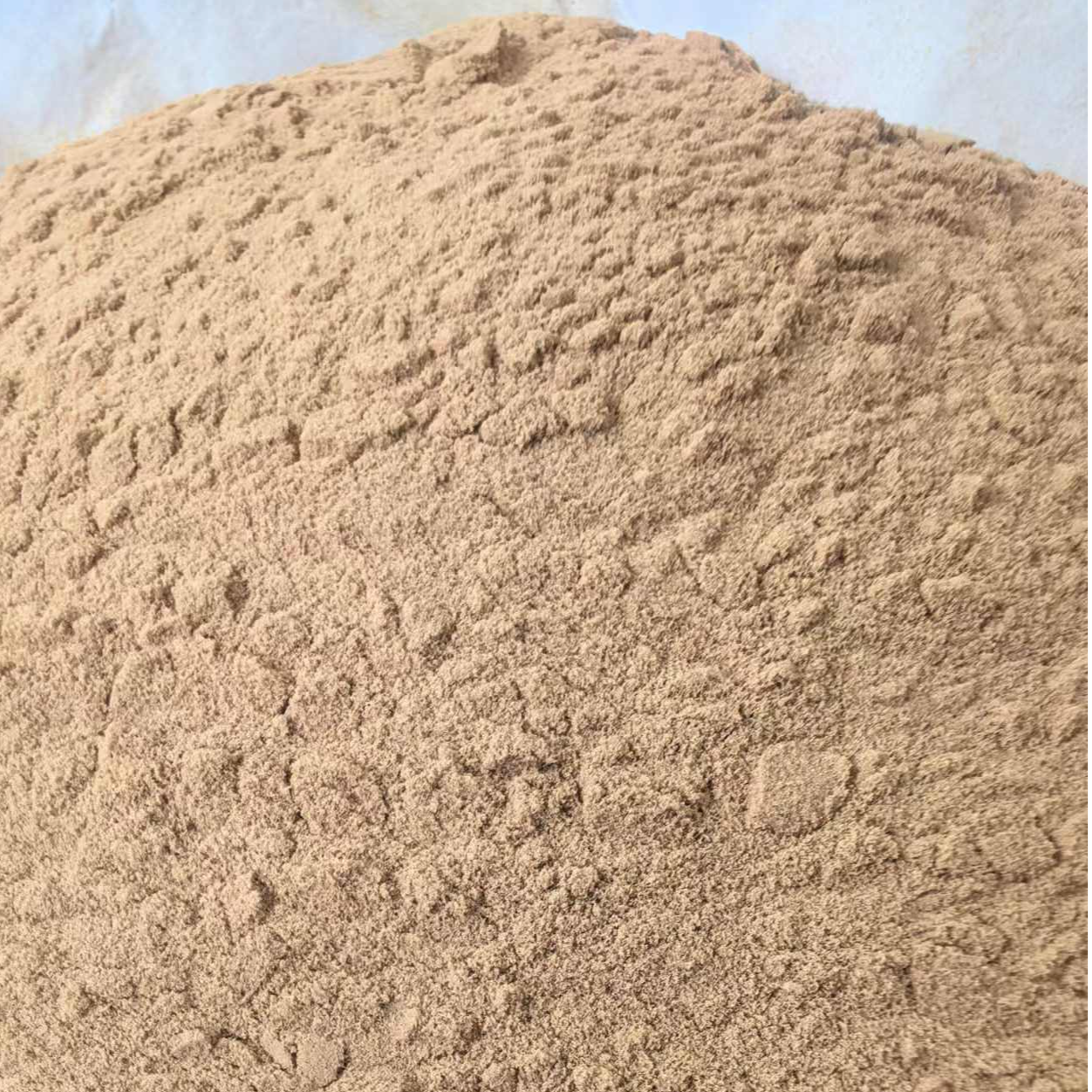 【阿海精选】土特产 舌胆粉