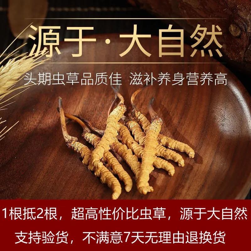 q甘孜藏区高海拔小虫草佳品泡酒料6根1克正宗野生冬虫夏草正品