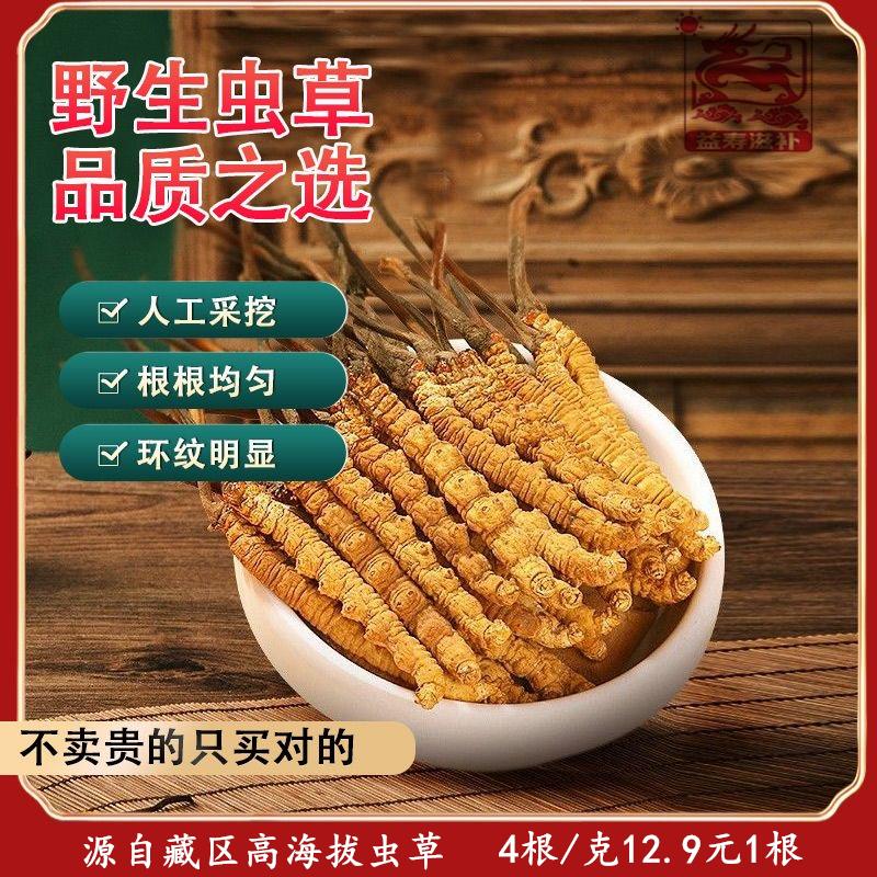 正宗野生冬虫夏草高海拔小虫草佳品泡酒料6根1克冬虫夏草5根包邮