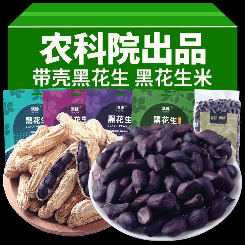 新货黑花生带壳生花生云南炒熟黑皮花生纯黑全黑新鲜晒干整箱批发