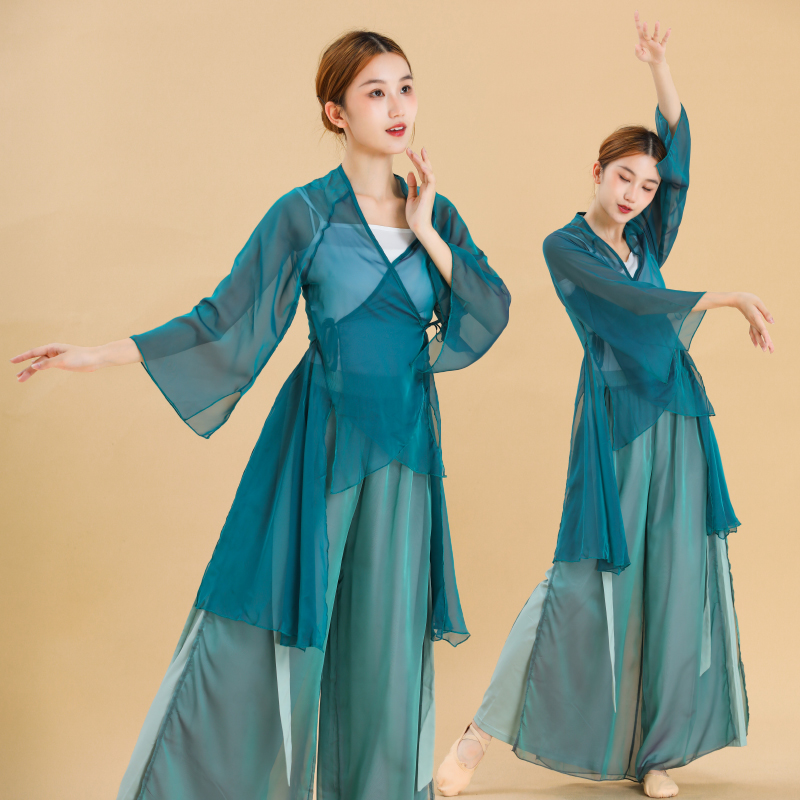 古典舞蹈练功服女身韵纱衣中长款宽松开叉飘逸中国风上衣演出套装