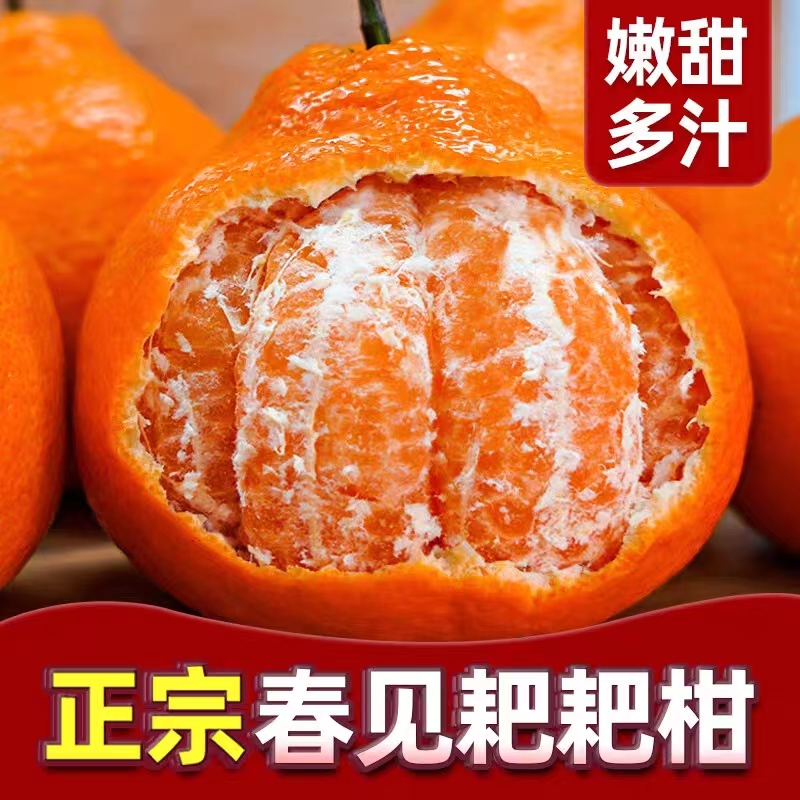 【净重五斤】现摘现发正宗四川耙耙柑鲜嫩多汁LL001