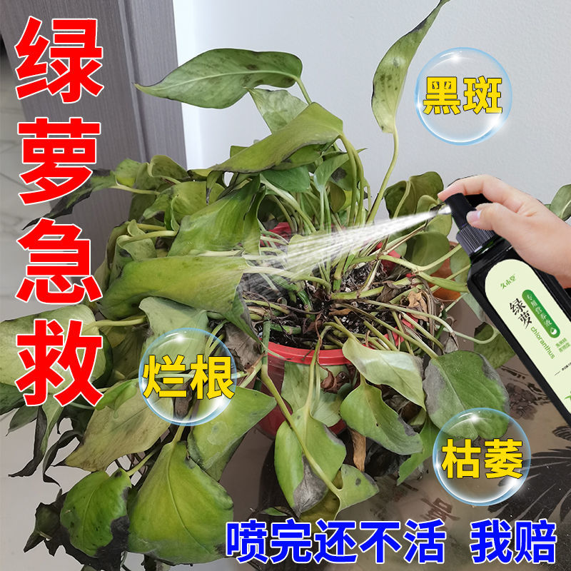 救】绿萝营养液植物专用叶子发黄烂根一喷翠绿有机液体肥植物花卉