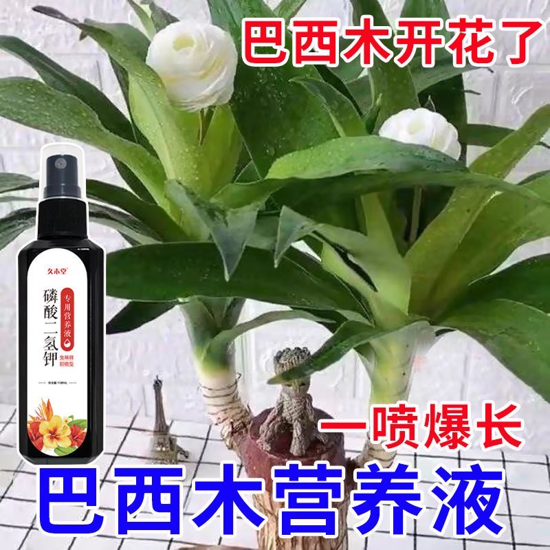 巴西木专用营养液植物通用防黄叶病害烂根发新芽新型肥