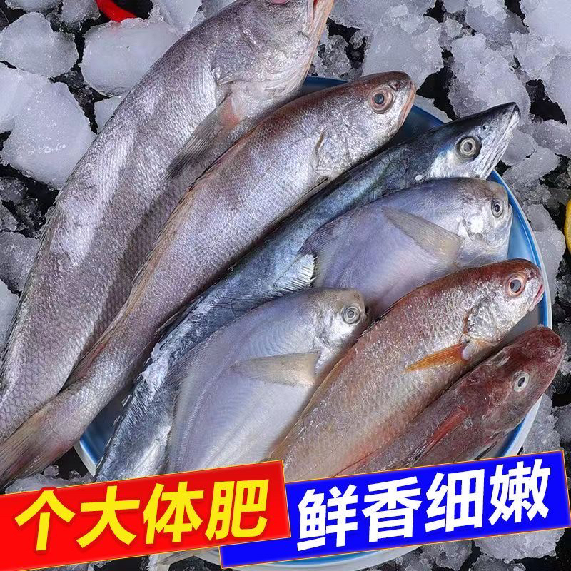 【4斤新鲜红3鱼5-7条1斤】广东新鲜红三鱼冰鲜发货新鲜海鱼小海鱼