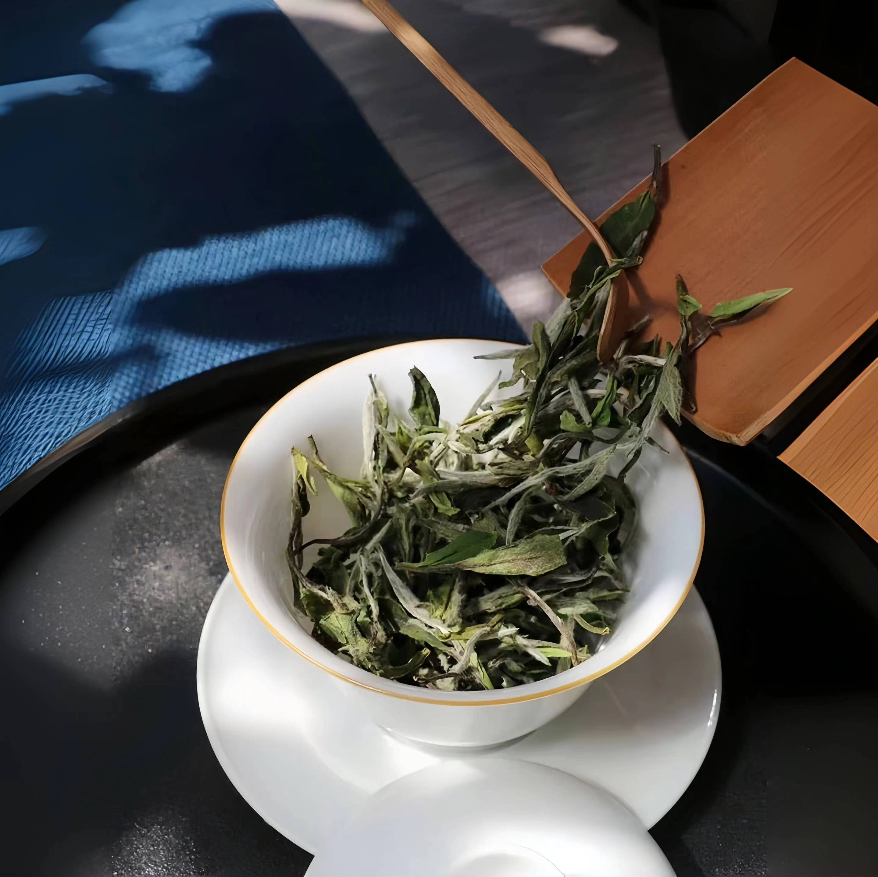 【小鱼】品牌茶代拍链接六号