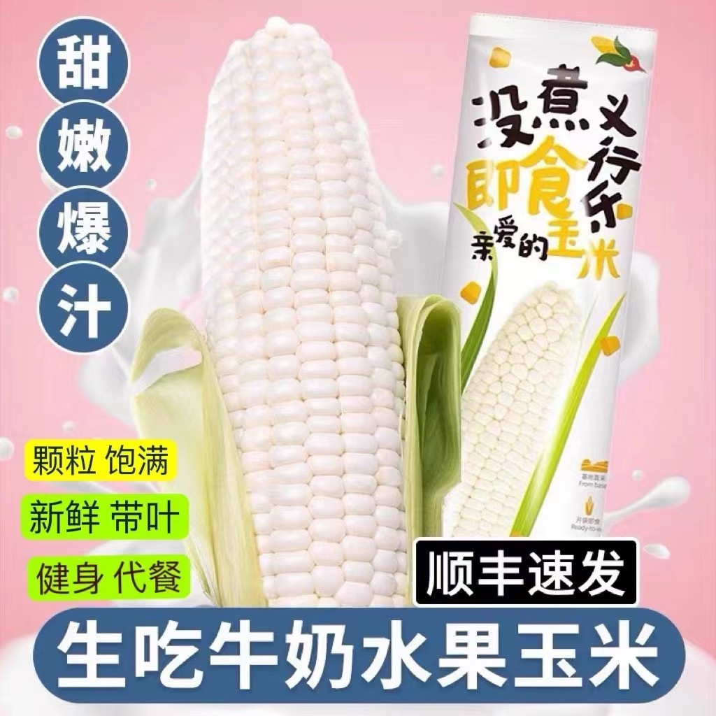 【现摘现发】爆浆牛奶玉米即食水果玉米棒新鲜甜白糯玉米