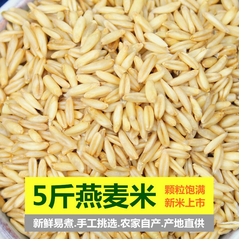 燕麦米新货农家自种燕麦仁荞麦米全胚芽燕麦五谷杂粮粗粮麦子批发