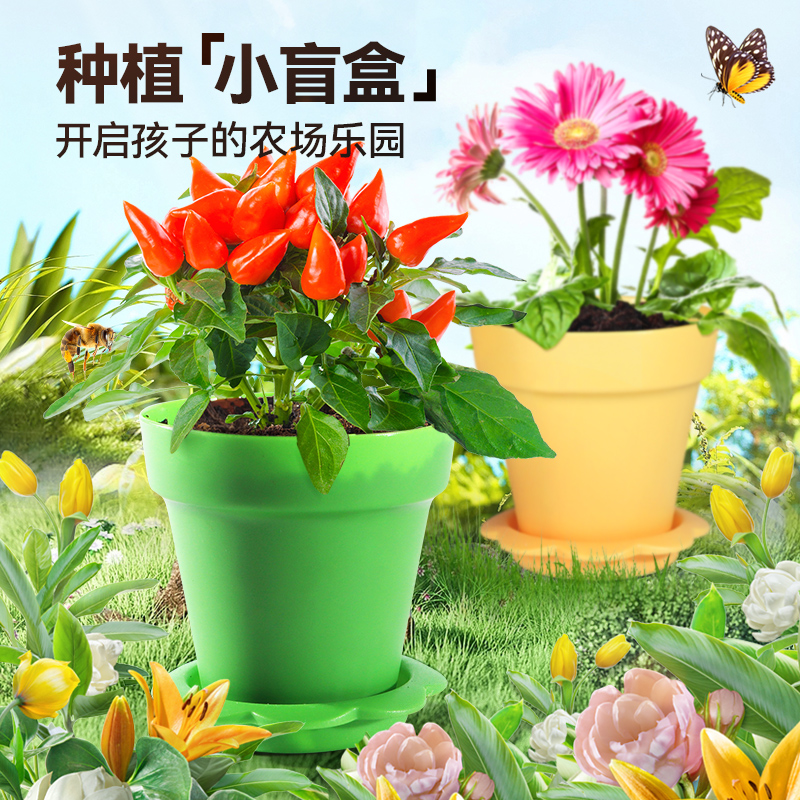 儿童种植玩具盆栽植物生长观察小盆栽幼儿园科学实验益智科教礼物