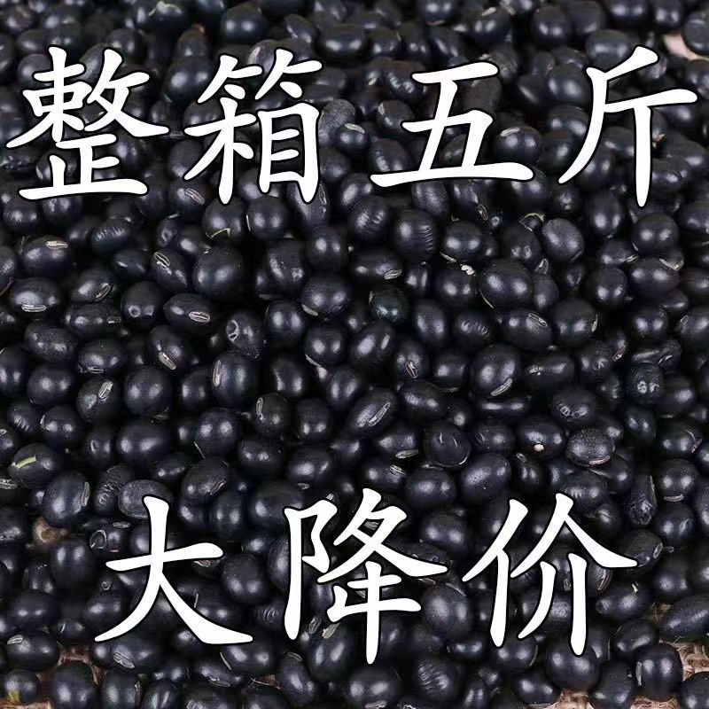 【新黑豆特价】黑豆打豆浆专用黄心黑豆打豆浆醋泡生豆芽农家散装