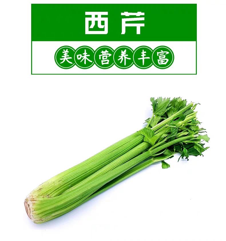 【娜姐助农】新鲜现挖去头西芹脆嫩多汁无筋少丝5斤蔬菜