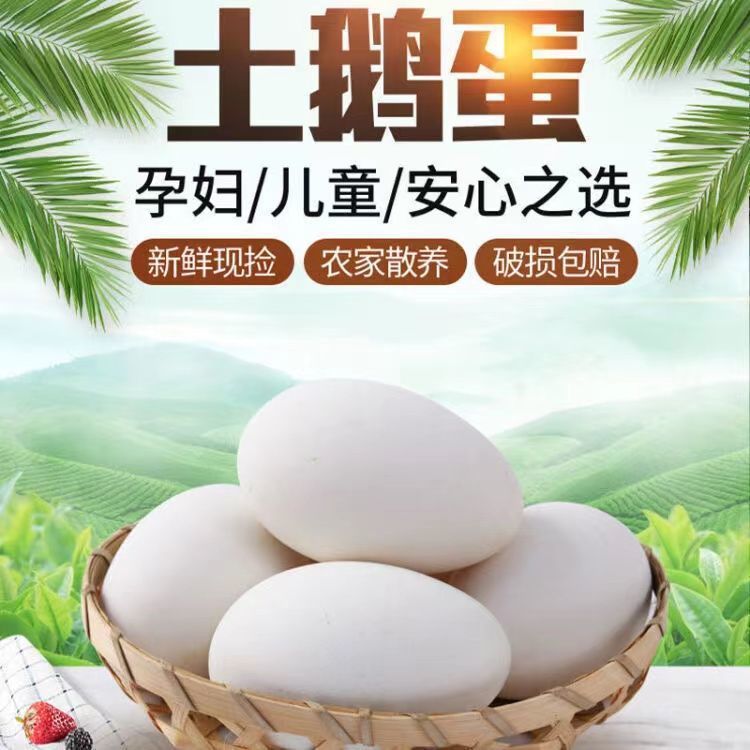 【文文家】顺丰 现捡现发新鲜土鹅蛋一箱12个单个均重120g左右