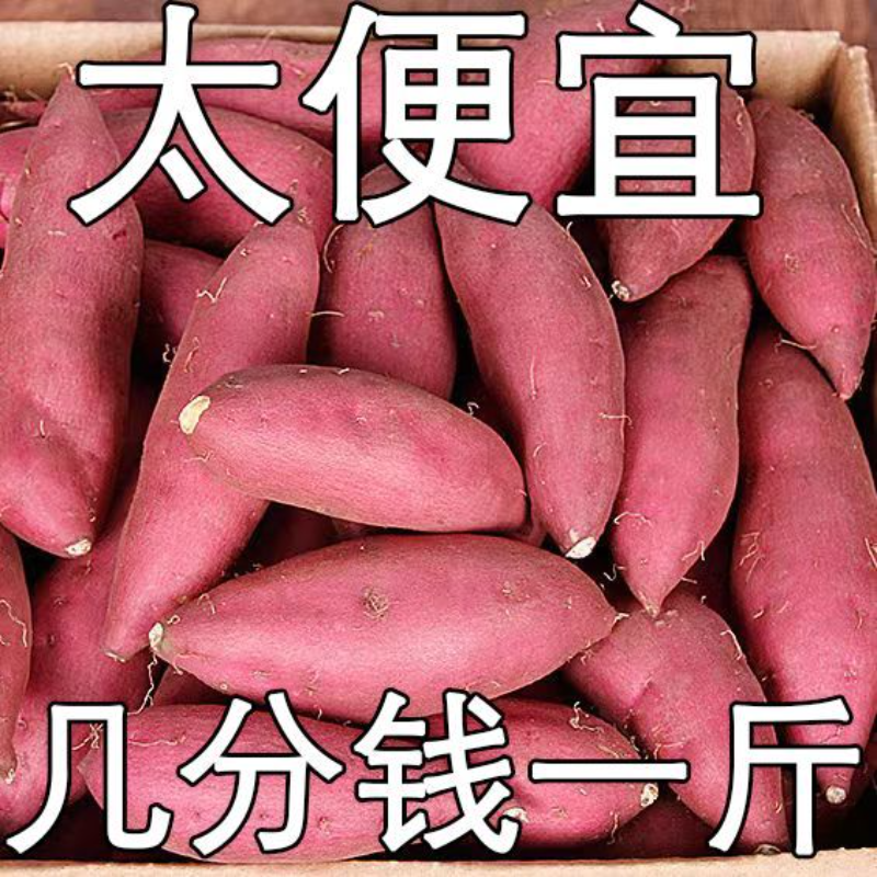 【浮力抢购中】超甜沙地红薯1-9斤新鲜红黄蜜薯板栗薯地瓜番薯蔬菜