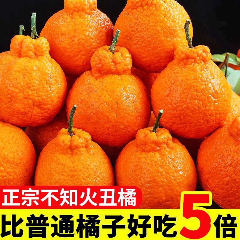 正宗四川不知火丑橘1/5/9斤整箱水果当季粑粑丑八怪柑橘耙耙桔子