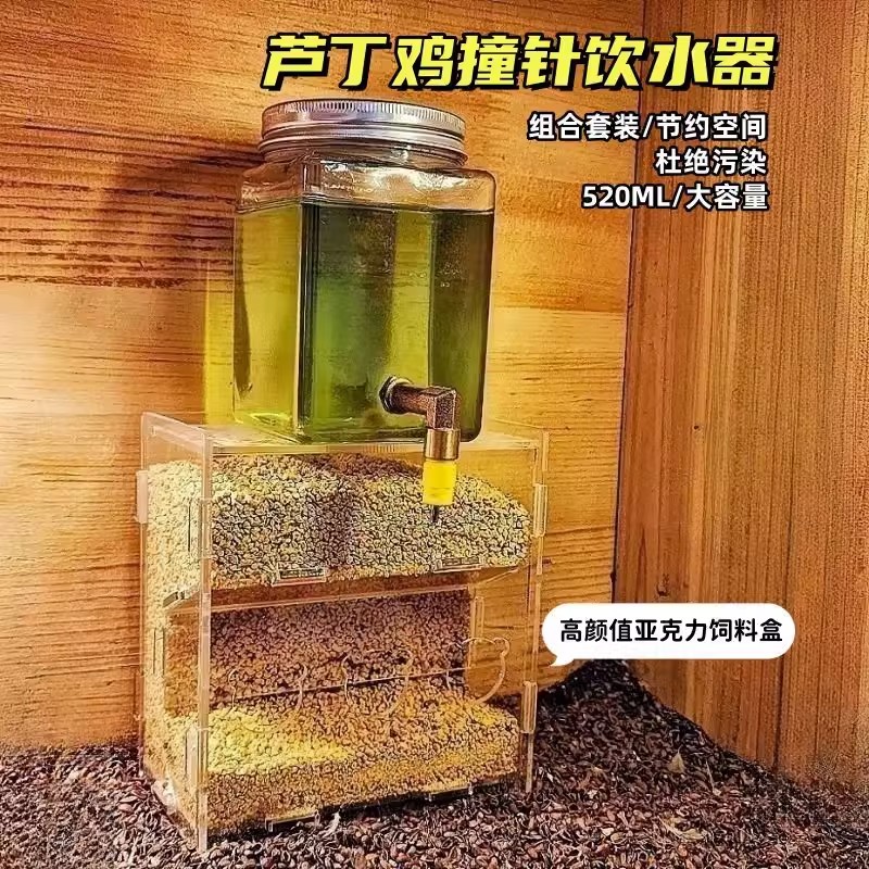 芦丁鸡撞针水壶鸟类通用喂水器宠物用品专用喂食器自动式饮水器