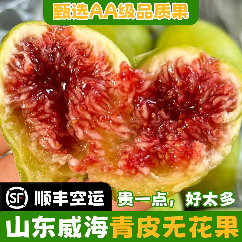 露天春果山东威海特产青皮无花果应季无花果鲜果流蜜顺丰空运