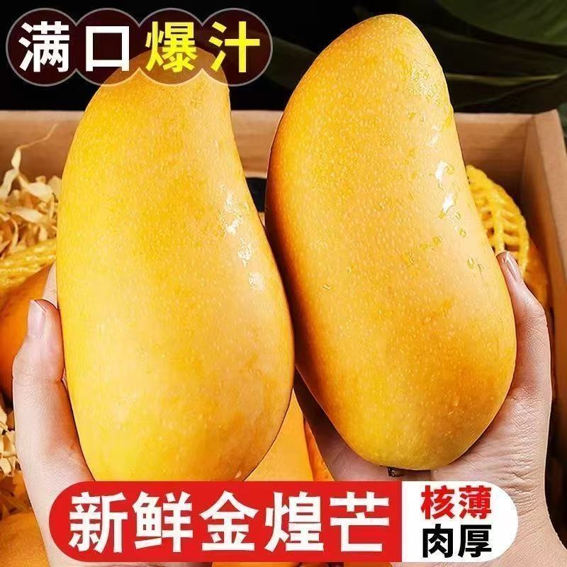 【黄皮金煌芒】广西黄皮金煌芒新鲜应季水果芒果现摘现发坏果包赔P